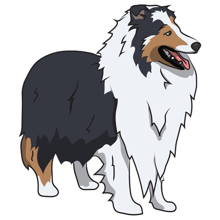 Signmission Shetland Sheepdog Dog Decal, Dog Lover Decor Vinyl Sticker D-12-Shetland Sheepdog